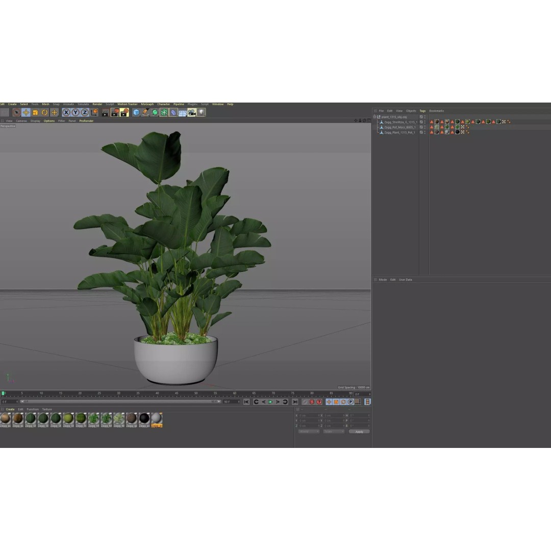 Plant 1315 3D Model – High-Quality PBR Pot Plant for Archviz