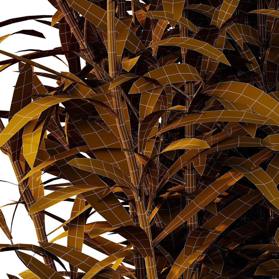 Different Grass 3D Model – High Poly PBR Plant with Textures, FBX, OBJ
