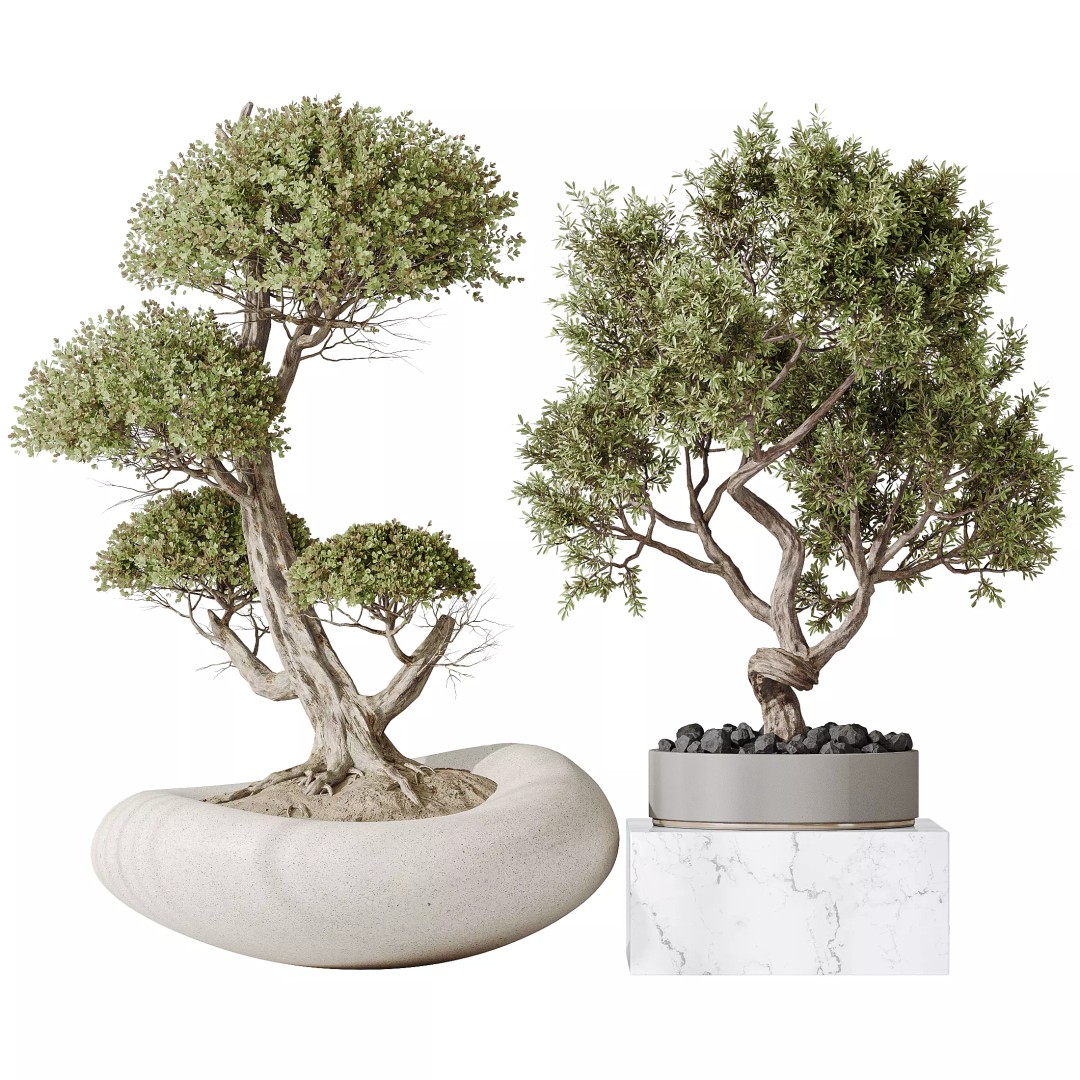 Indoor Plant Set 3D Model – Tropical Decor, FBX & OBJ Formats - View 2