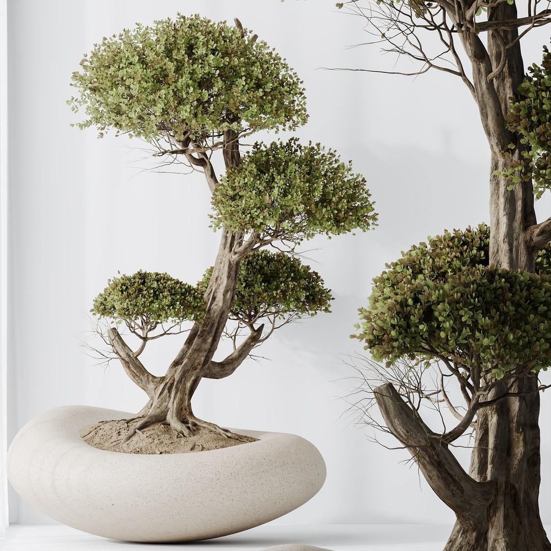 Indoor Plant Set 3D Model – Tropical Decor, FBX & OBJ Formats - View 5