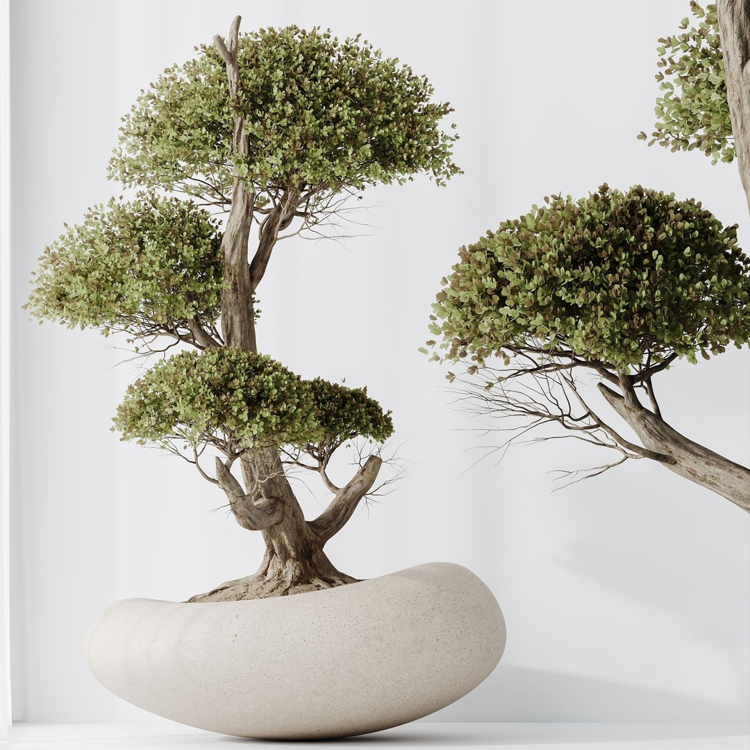 Indoor Plant Set 3D Model – Tropical Decor, FBX & OBJ Formats - View 7