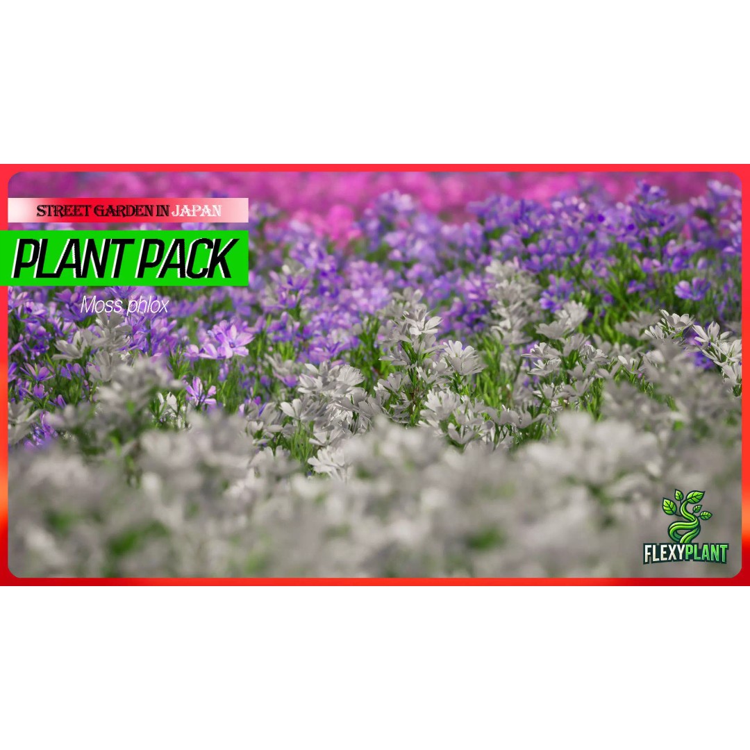 Moss Phlox Flower Grass Plant 3D Model – Low Poly PBR Asset, FBX, OBJ - View 2