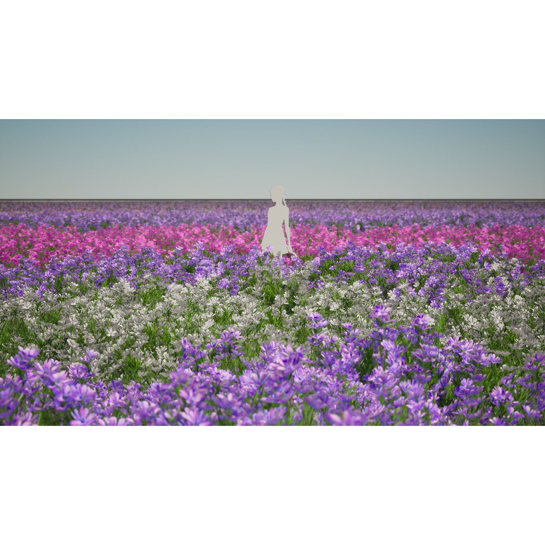 Moss Phlox Flower Grass Plant 3D Model – Low Poly PBR Asset, FBX, OBJ - View 4