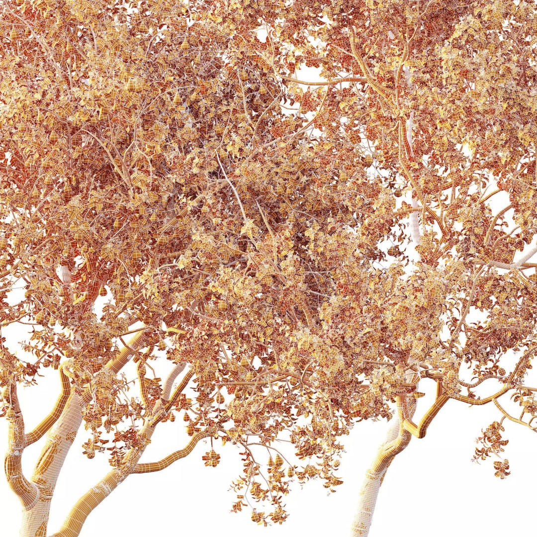 Pyrus Communis & Prunus Armeniaca 3D Model – High Poly Tree Set, FBX, OBJ