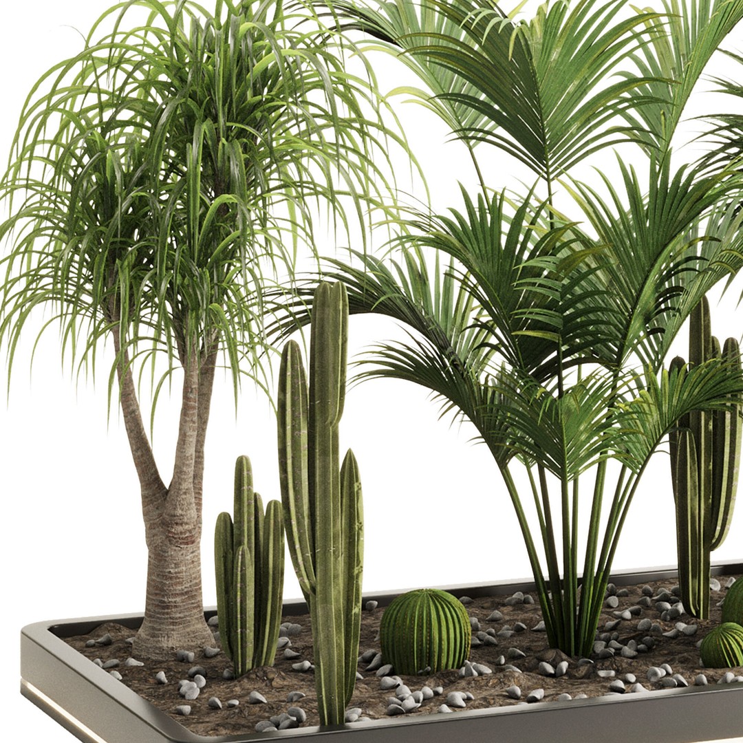 Olive Tree 3D Model – High Poly Outdoor Asset, OBJ, PBR - View 6