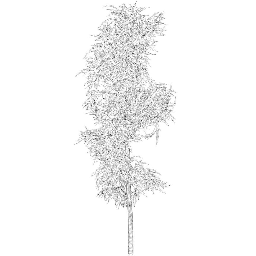 Bamboo Plant 3D Model – Photorealistic PBR Asset for Archviz - View 3