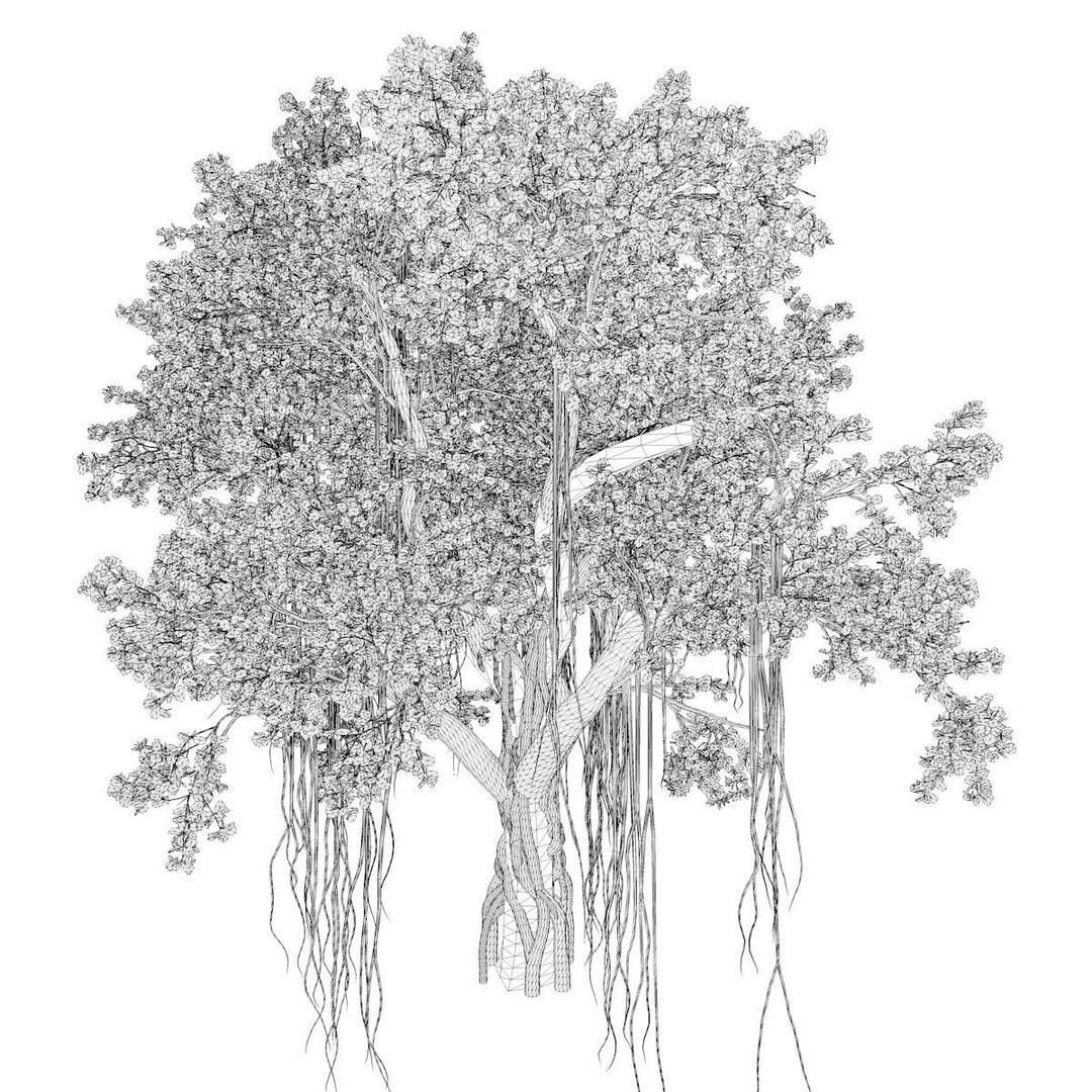 Chinese Banyan Tree 3D Model – Photorealistic Plant Asset, FBX - View 3