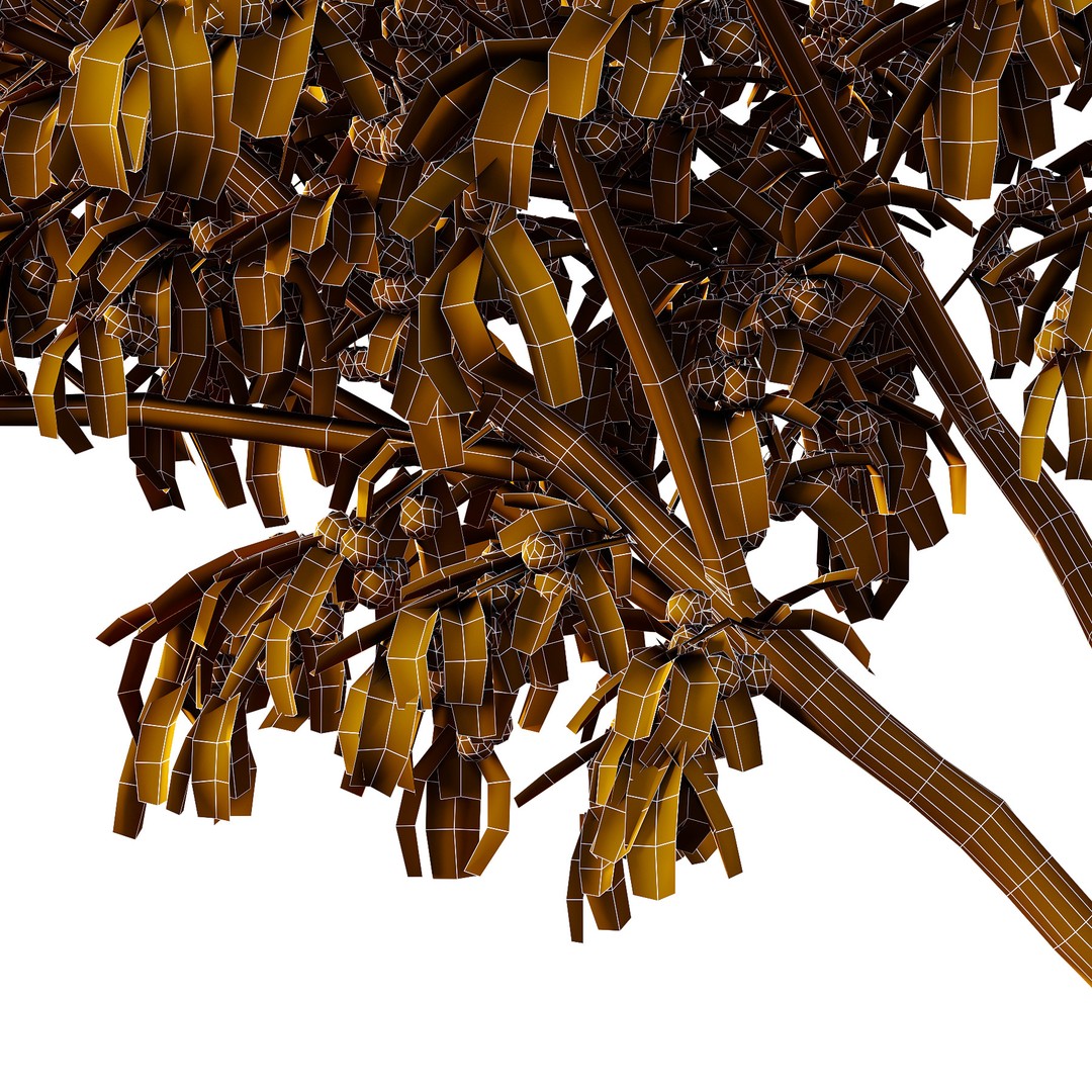 Prunus Pseudocerasus Diospyros Kaki Fruit Tree 3D Model – High Poly PBR Asset, FBX, OBJ
