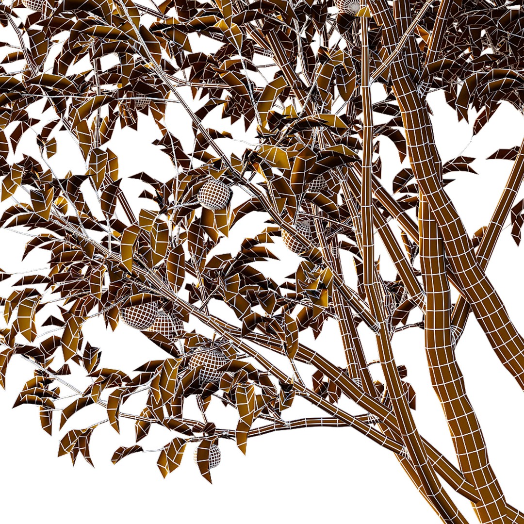 Prunus Pseudocerasus Diospyros Kaki Fruit Tree 3D Model – High Poly PBR Asset, FBX, OBJ - View 4