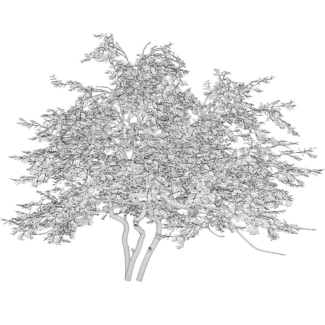 Lemon Tree 3D Model – Photorealistic Plant Asset, FBX, Game Ready - View 3
