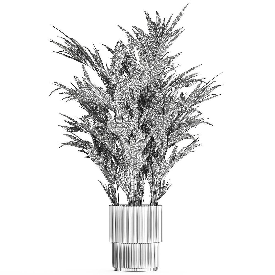 Palm Tree 3D Model – Stylish Pot Plant for Interior & Exterior Decor