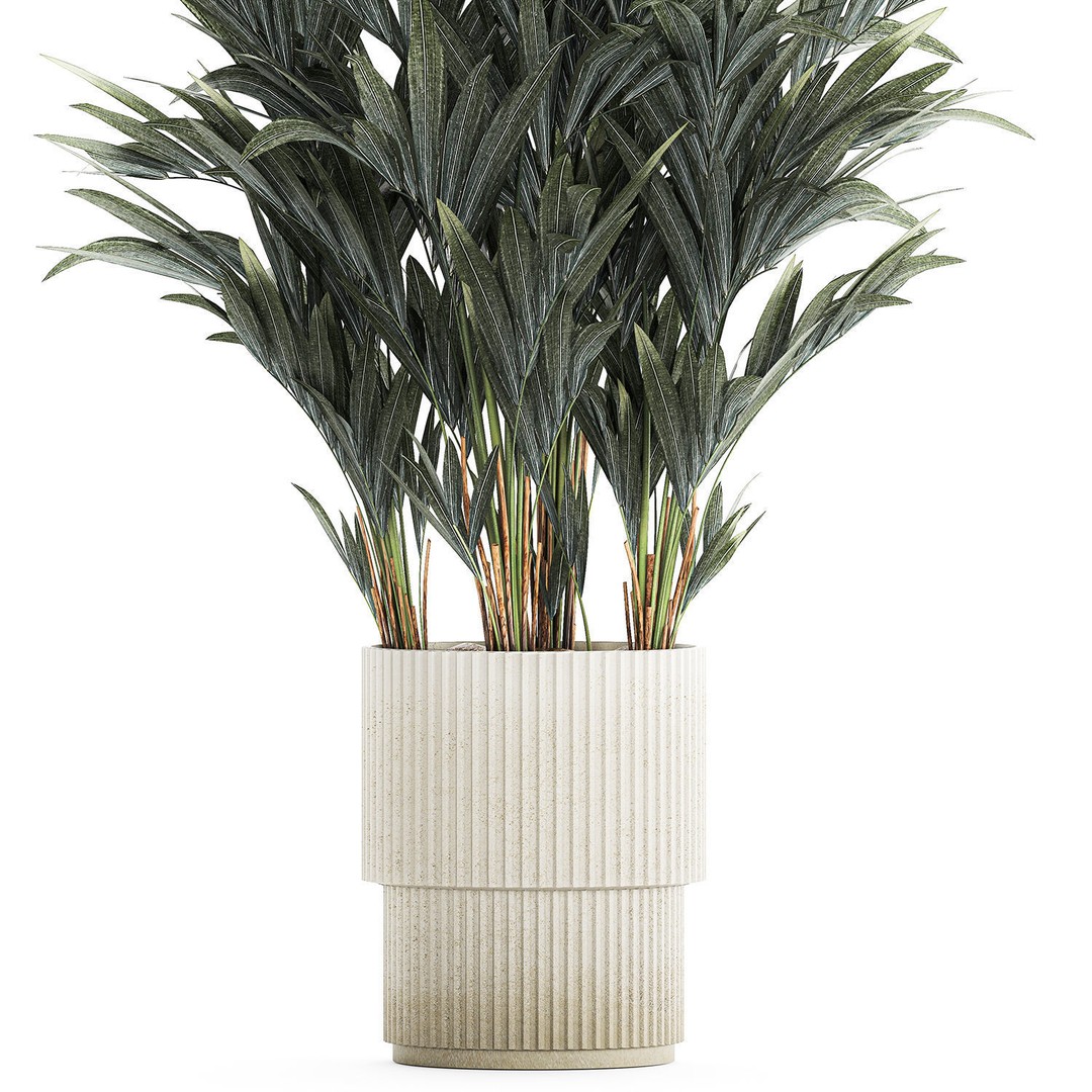 Palm Tree 3D Model – Stylish Pot Plant for Interior & Exterior Decor - View 11