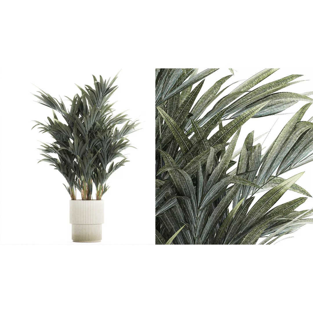 Palm Tree 3D Model – Stylish Pot Plant for Interior & Exterior Decor - View 2
