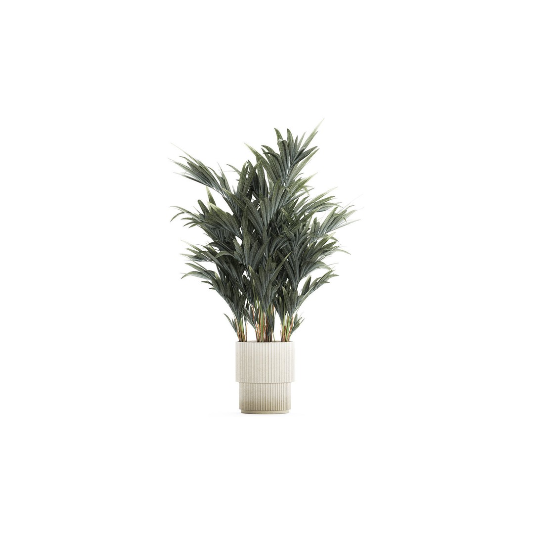 Palm Tree 3D Model – Stylish Pot Plant for Interior & Exterior Decor - View 3