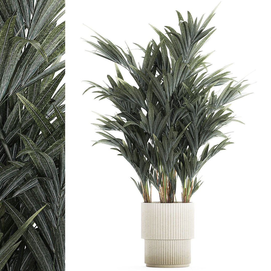 Palm Tree 3D Model – Stylish Pot Plant for Interior & Exterior Decor - View 7