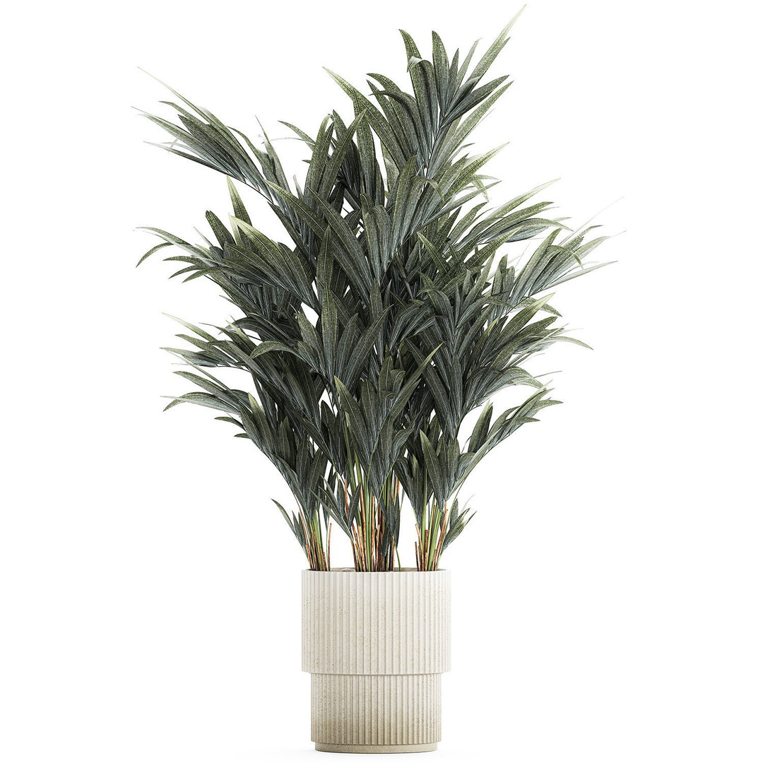 Palm Tree 3D Model – Stylish Pot Plant for Interior & Exterior Decor - View 8