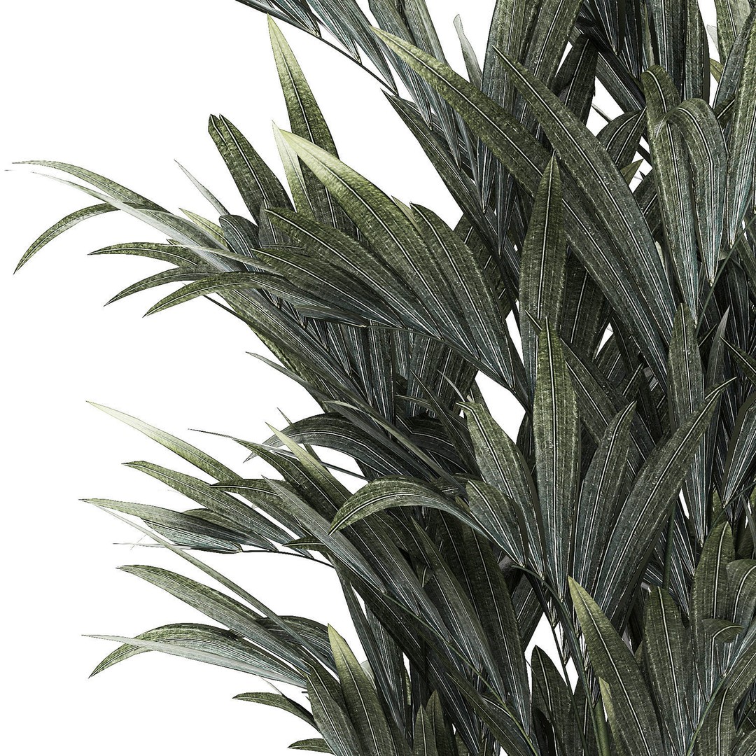 Palm Tree 3D Model – Stylish Pot Plant for Interior & Exterior Decor - View 9