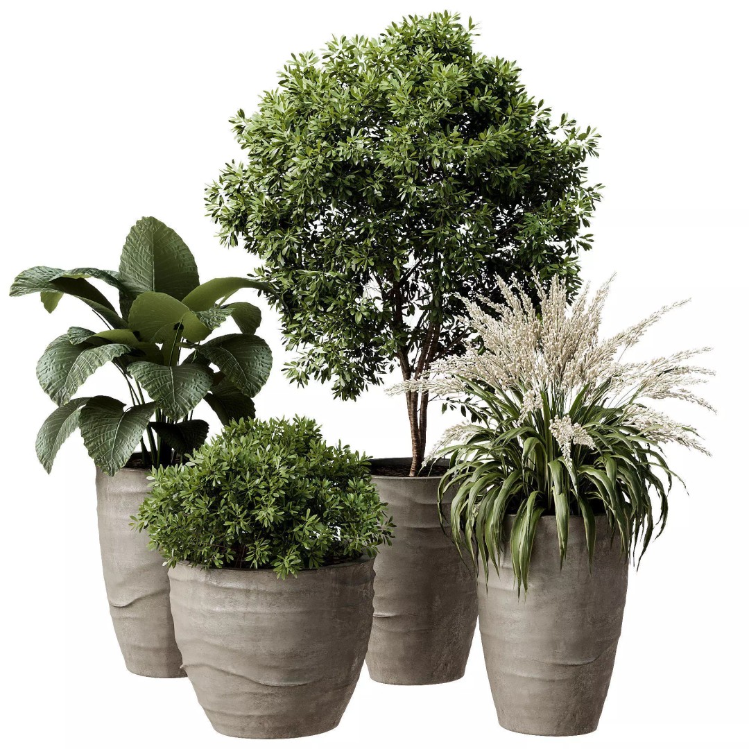Outdoor Plant 42 3D Model – High Poly PBR Asset, OBJ & FBX - View 2