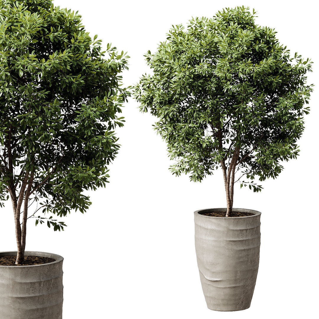 Outdoor Plant 42 3D Model – High Poly PBR Asset, OBJ & FBX - View 3