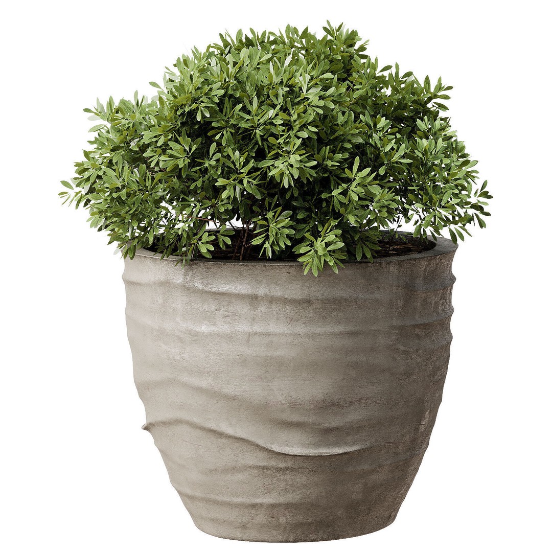 Outdoor Plant 42 3D Model – High Poly PBR Asset, OBJ & FBX - View 4