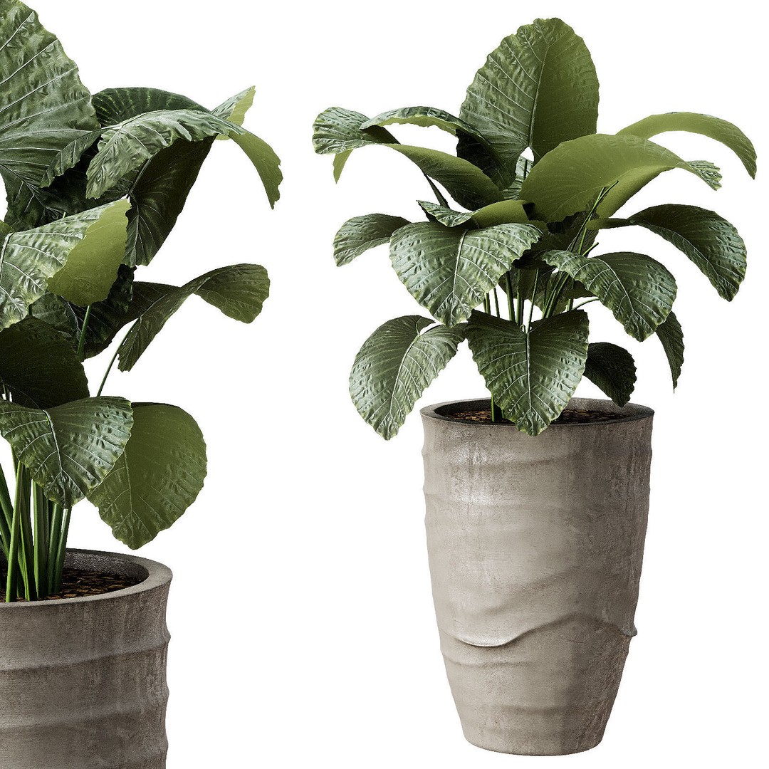 Outdoor Plant 42 3D Model – High Poly PBR Asset, OBJ & FBX - View 5