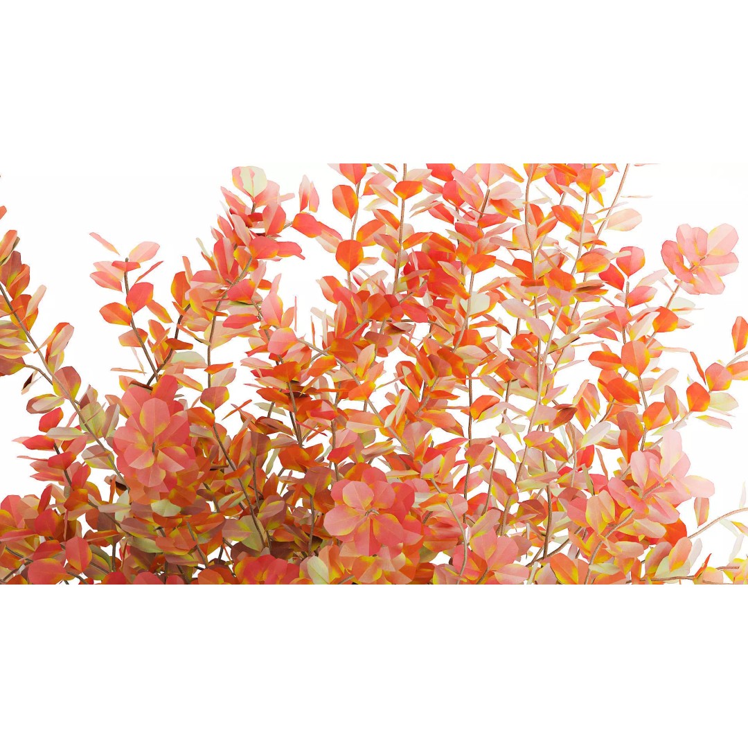 Realistic Bouquet Autumn Flowers 3D Model – Barberry Branches in Ceramic Vase - View 7