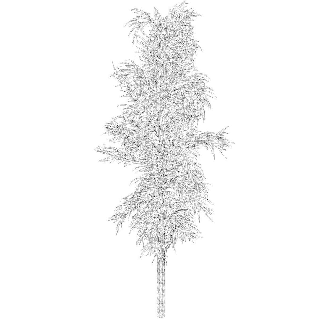 Bamboo Plant 3D Model – Photorealistic PBR Asset, FBX - View 3