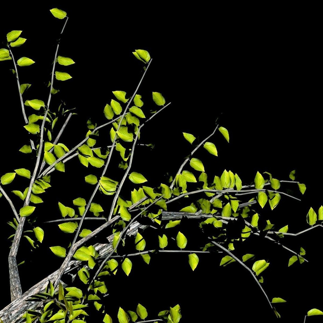 Pack of 5 Trees 3D Model – Low Poly Game Asset, FBX & OBJ Formats - View 4