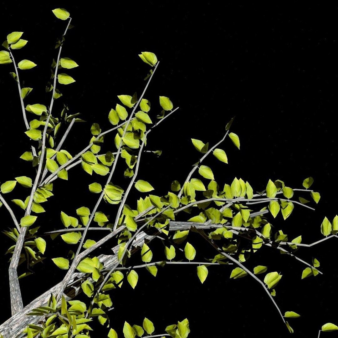 Pack of 5 Trees 3D Model – Low Poly Game Asset, FBX & OBJ Formats - View 5