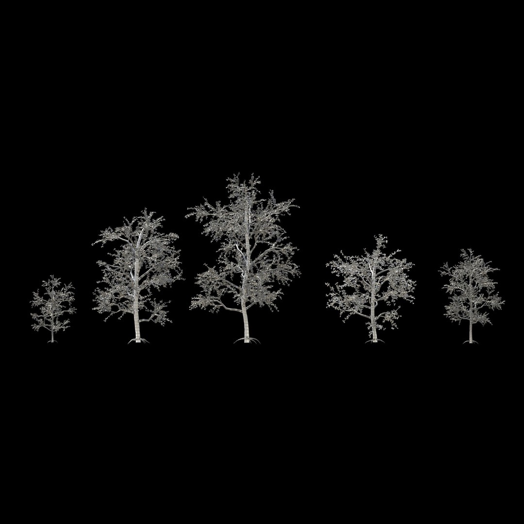 Pack of 5 Trees 3D Model – Low Poly Game Asset, FBX & OBJ Formats - View 6