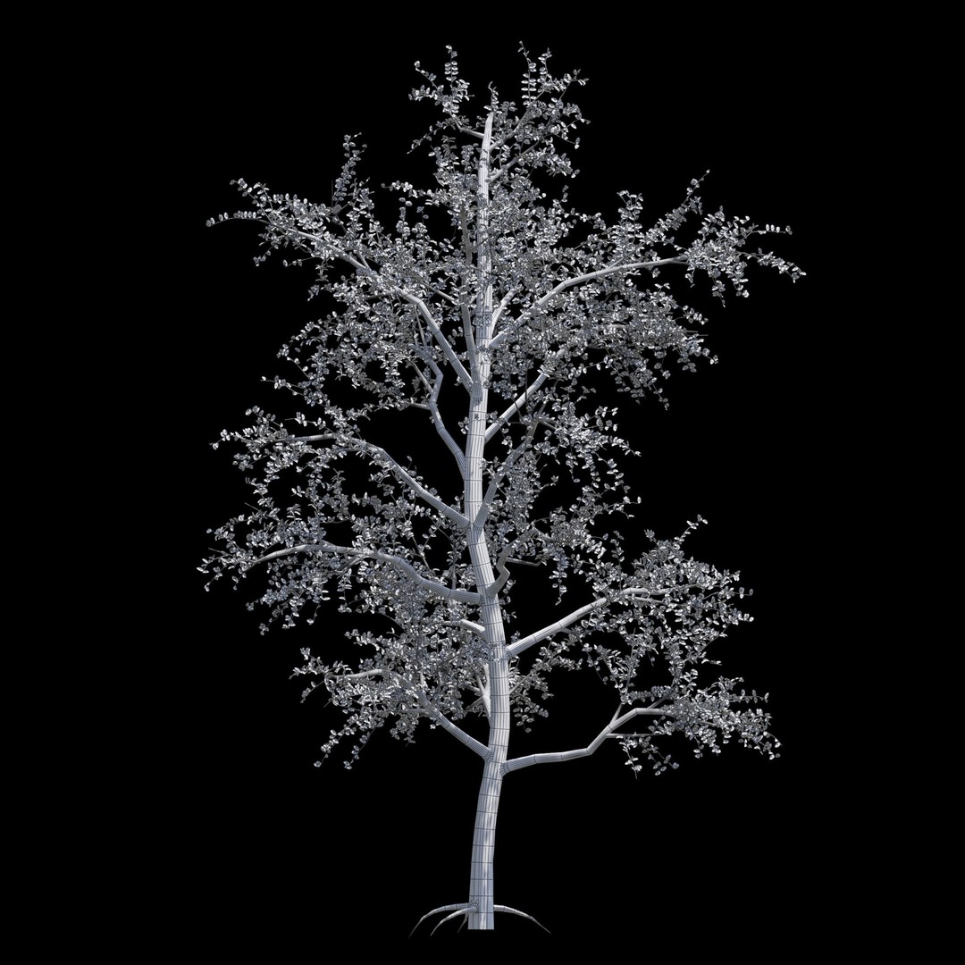 Pack of 5 Trees 3D Model – Low Poly Game Asset, FBX & OBJ Formats - View 9