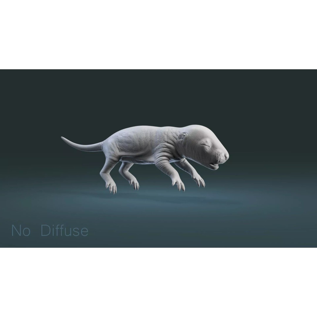 Realistic Baby Rat 3D Model – High Poly PBR Textured, FBX, OBJ - View 19