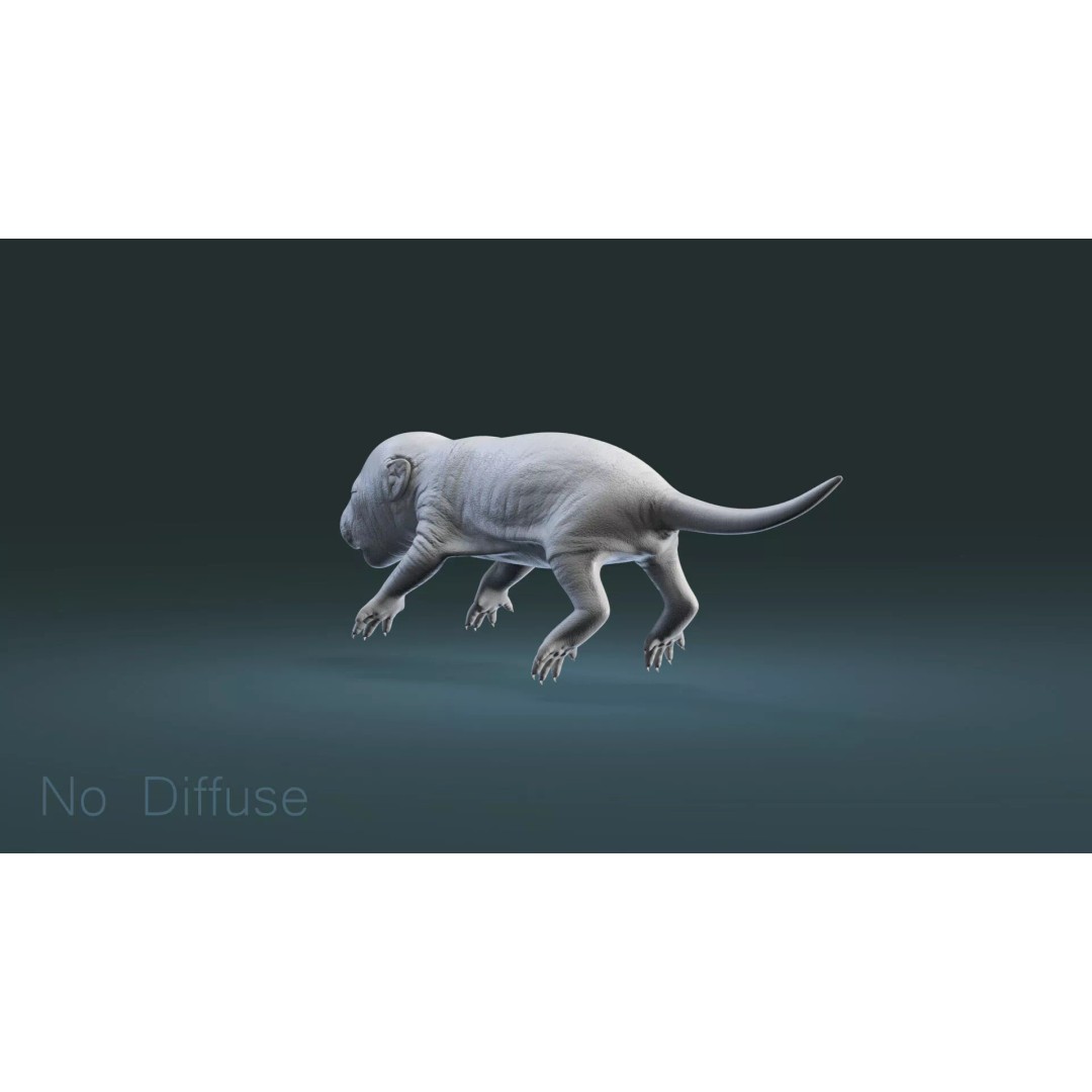 Realistic Baby Rat 3D Model – High Poly PBR Textured, FBX, OBJ - View 20