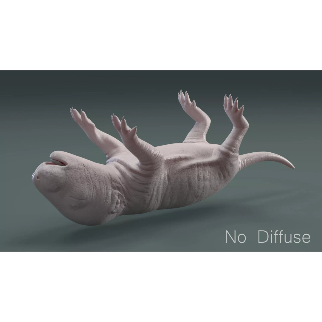 Realistic Baby Rat 3D Model – High Poly PBR Textured, FBX, OBJ - View 23