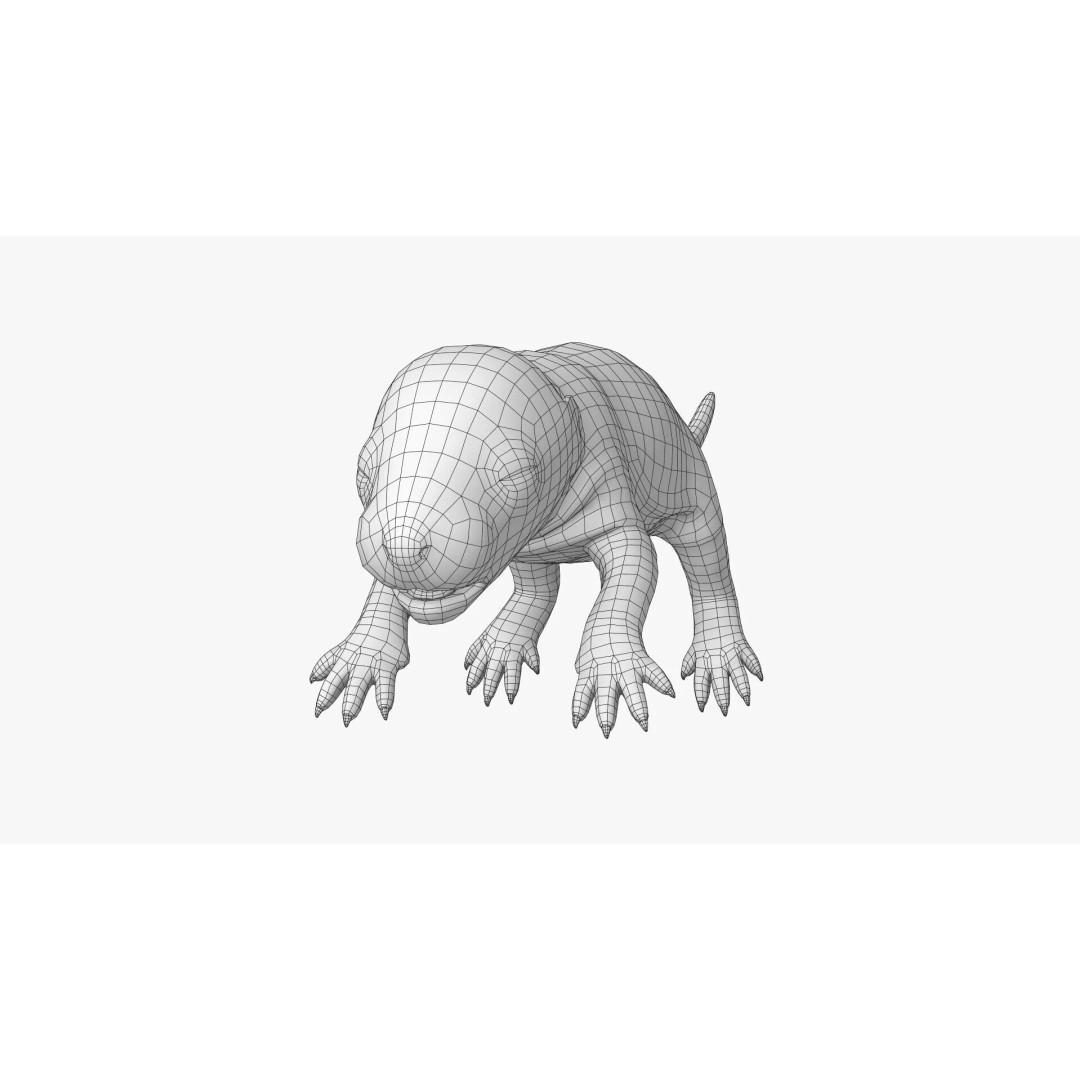 Realistic Baby Rat 3D Model – High Poly PBR Textured, FBX, OBJ - View 29