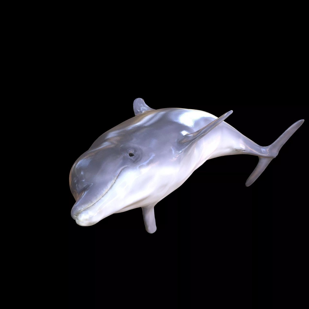 Animated Goldfish 3D Model – Low Poly Rigged Fish, FBX - View 11