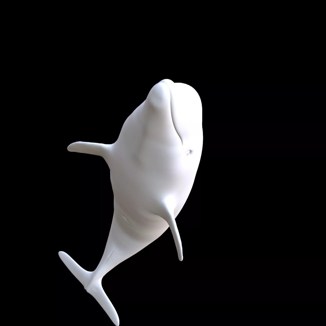 Animated Goldfish 3D Model – Low Poly Rigged Fish, FBX - View 13