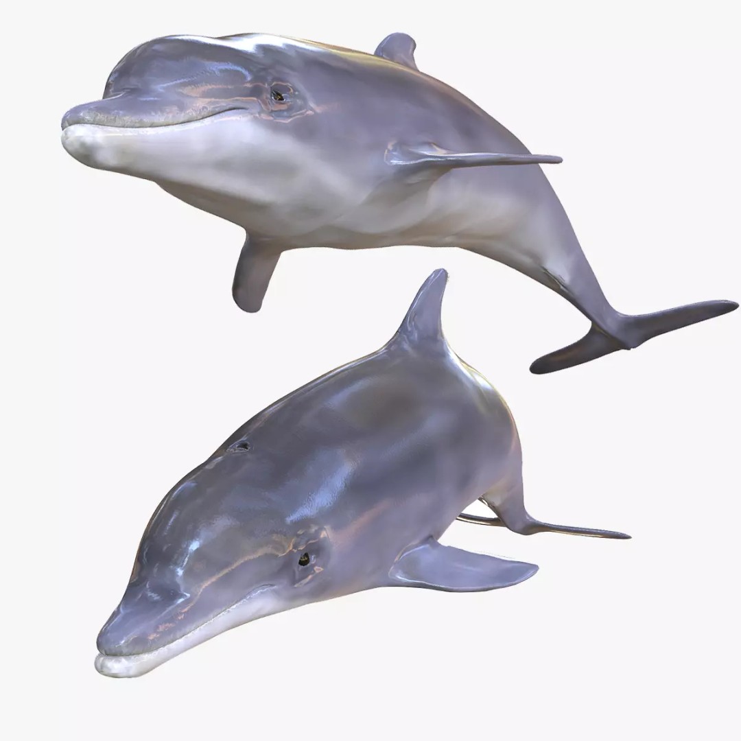 Animated Goldfish 3D Model – Low Poly Rigged Fish, FBX - View 2