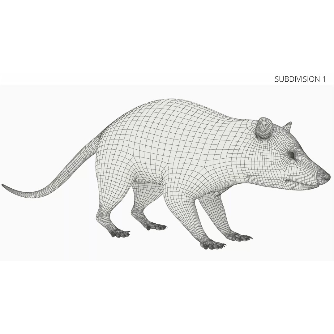 Opossum Eating 3D Model – Animated Rigged Character for Maya - View 10