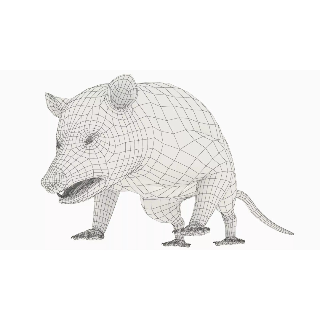 Opossum Eating 3D Model – Animated Rigged Character for Maya - View 11