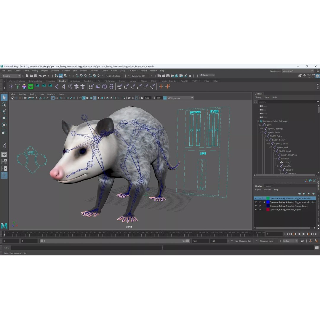 Opossum Eating 3D Model – Animated Rigged Character for Maya - View 16