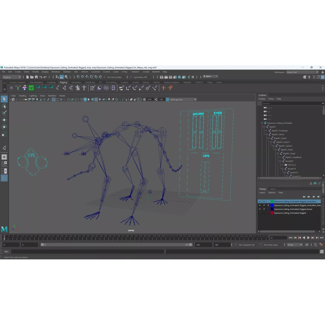 Opossum Eating 3D Model – Animated Rigged Character for Maya - View 17