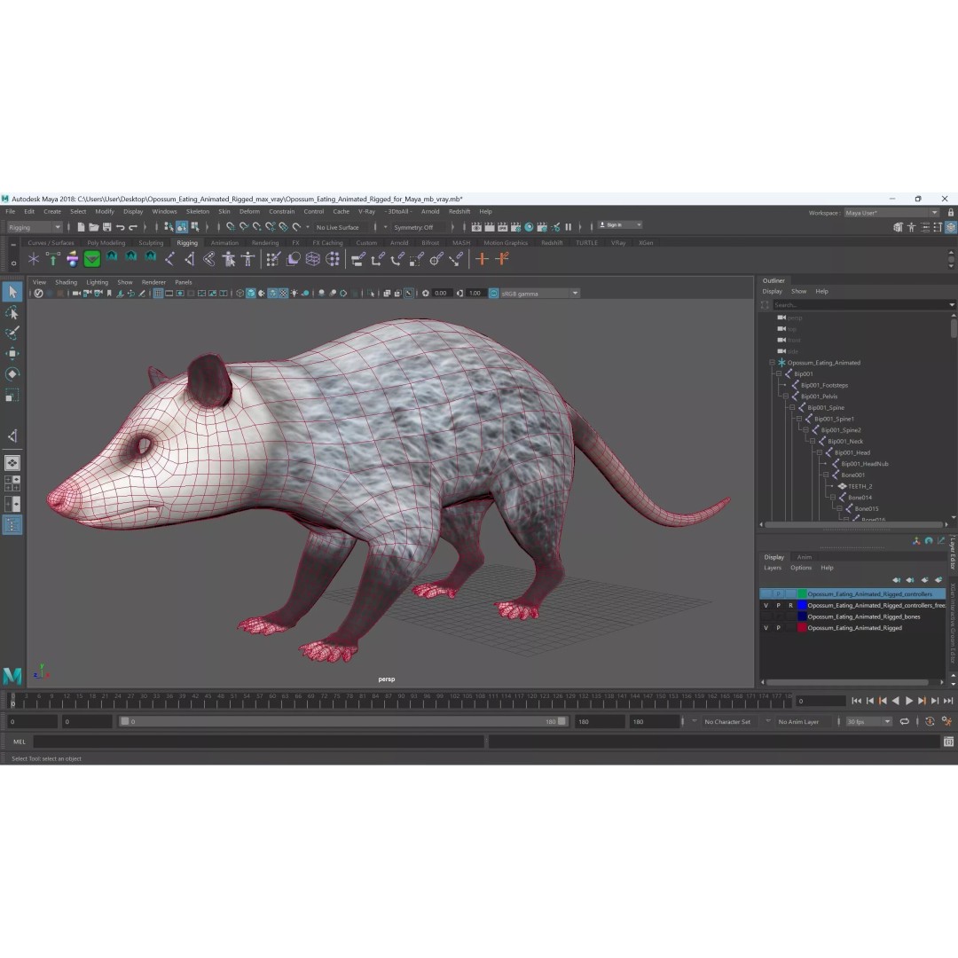 Opossum Eating 3D Model – Animated Rigged Character for Maya - View 18
