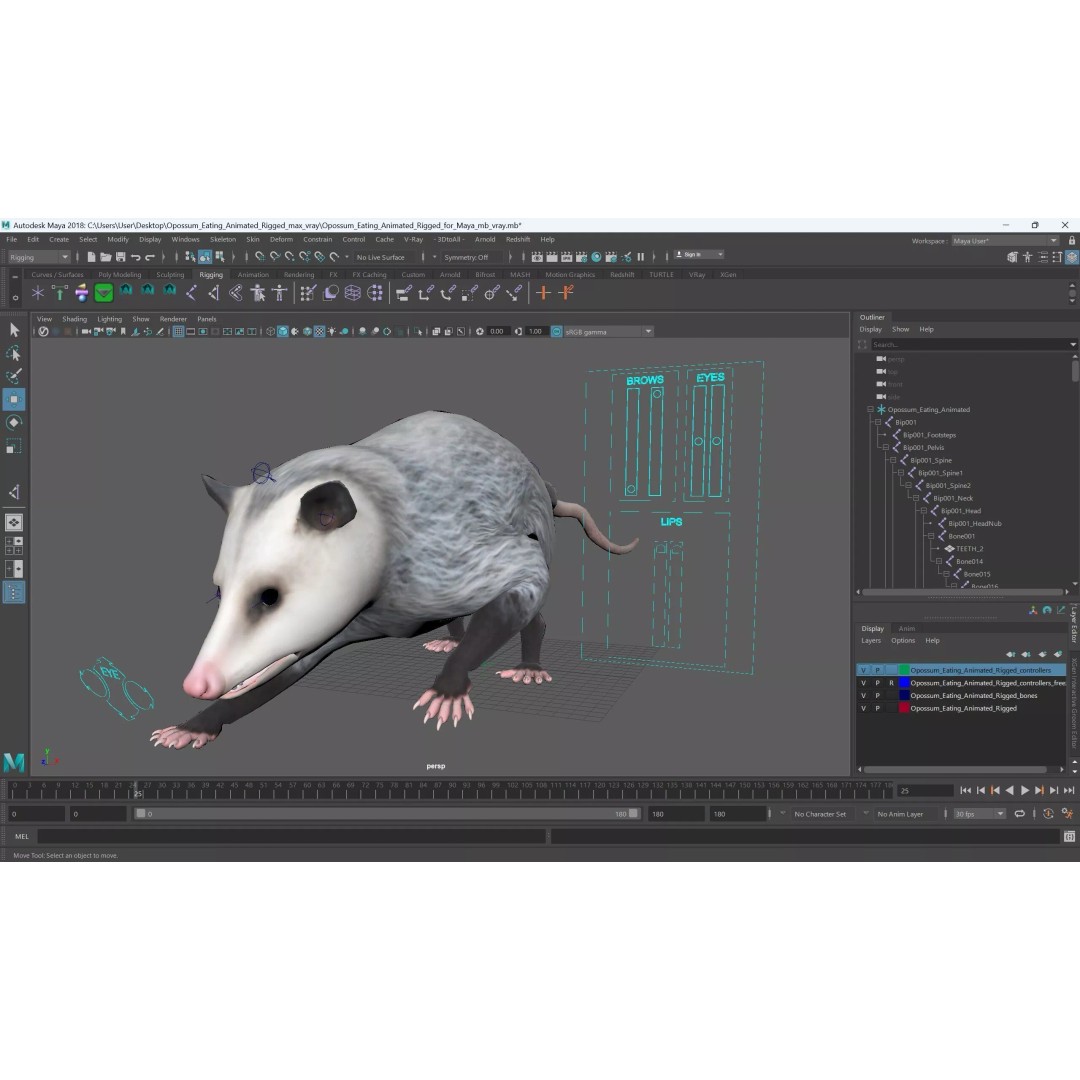 Opossum Eating 3D Model – Animated Rigged Character for Maya - View 20