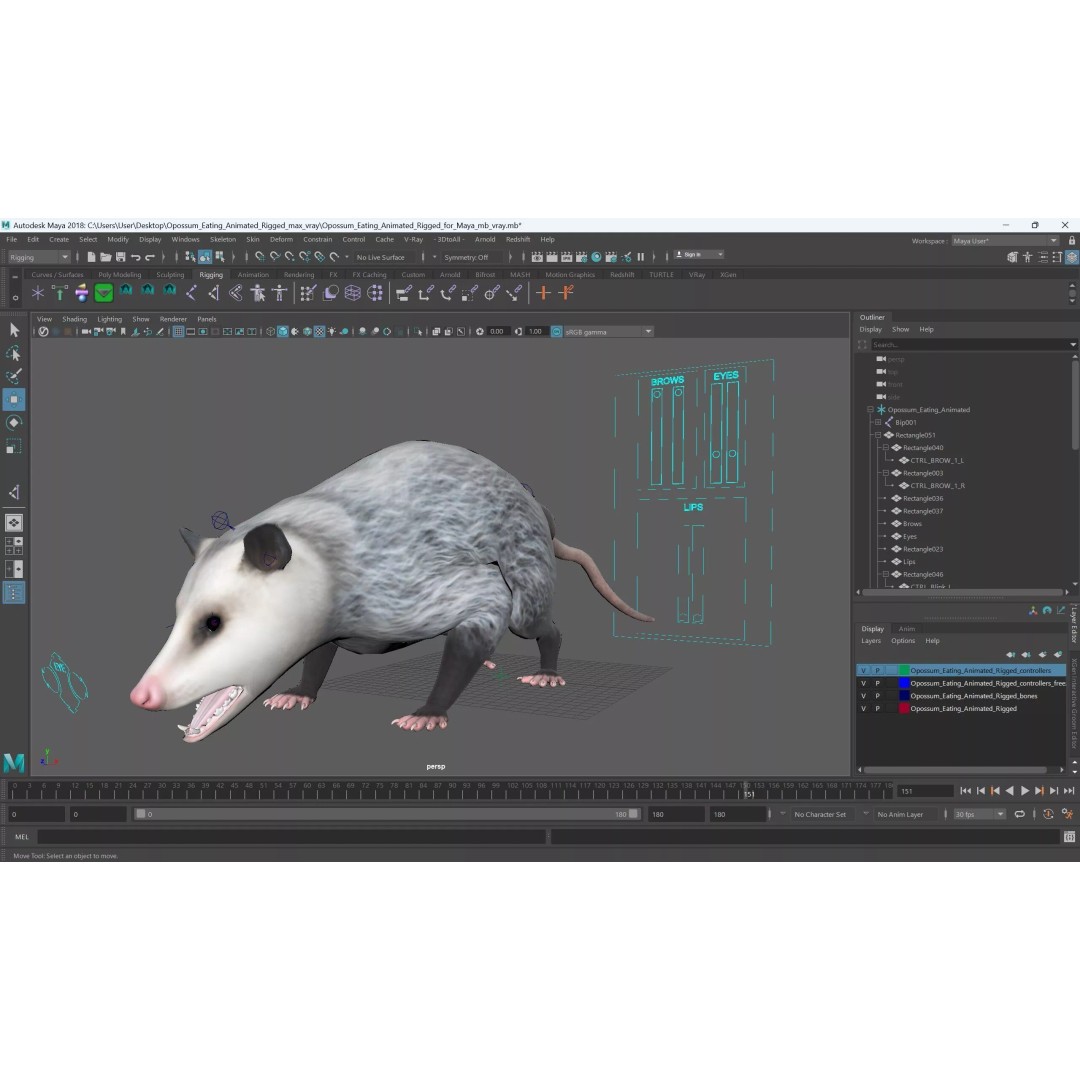 Opossum Eating 3D Model – Animated Rigged Character for Maya - View 21