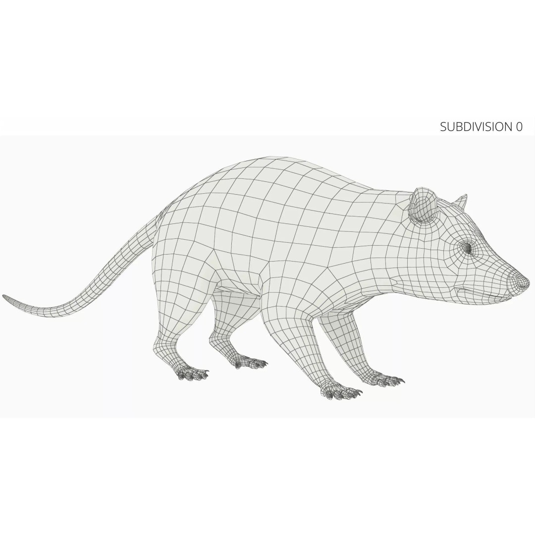 Opossum Eating 3D Model – Animated Rigged Character for Maya - View 9