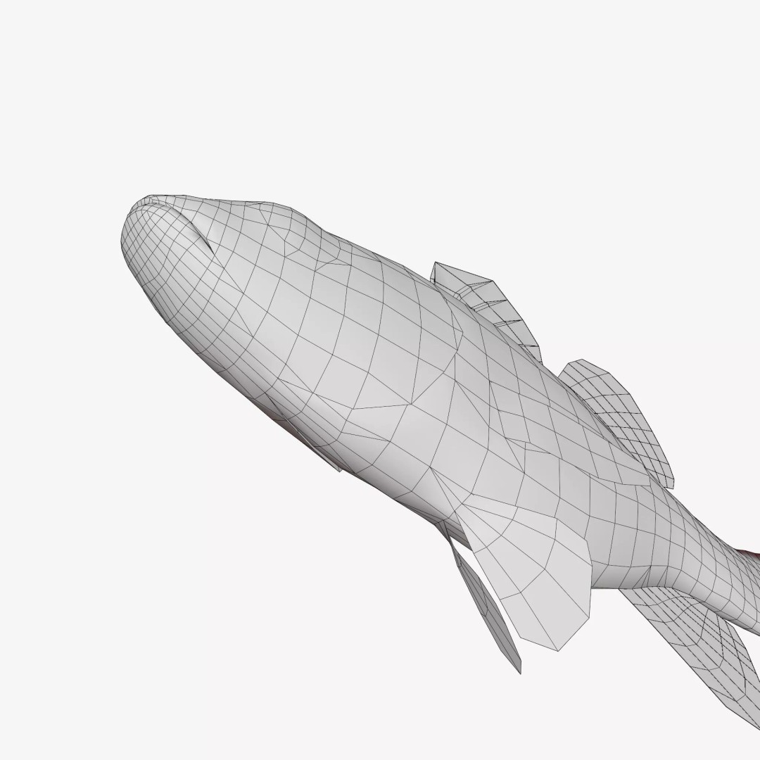 Doederleins Cardinalfish 3D Model – Low Poly PBR Fish Asset, FBX - View 10