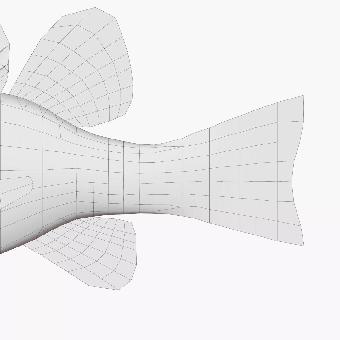 Doederleins Cardinalfish 3D Model – Low Poly PBR Fish Asset, FBX - View 12