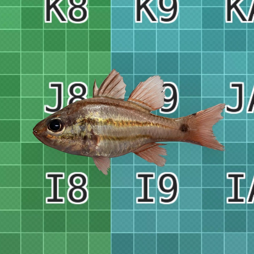 Doederleins Cardinalfish 3D Model – Low Poly PBR Fish Asset, FBX - View 7