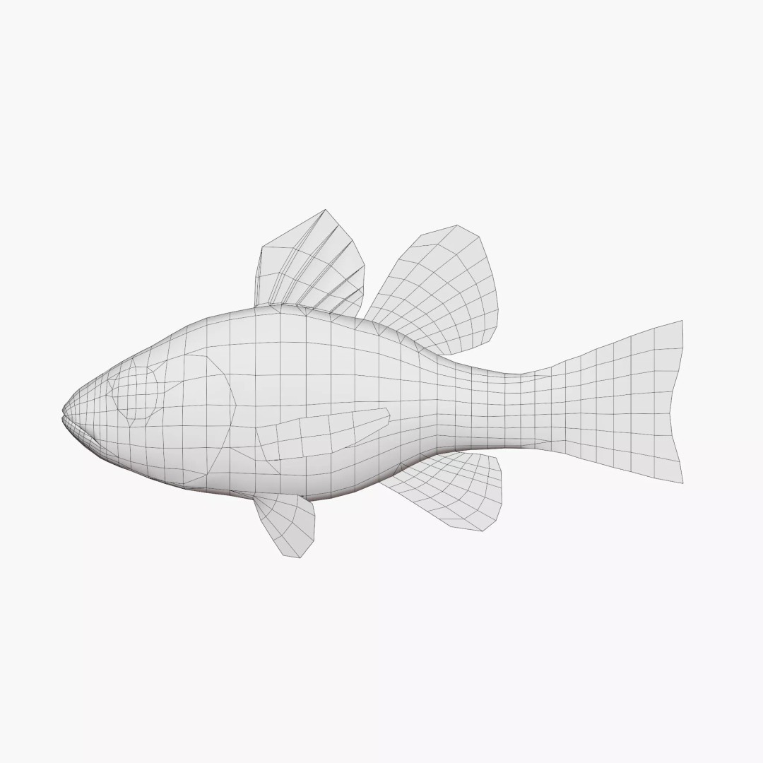Doederleins Cardinalfish 3D Model – Low Poly PBR Fish Asset, FBX - View 8